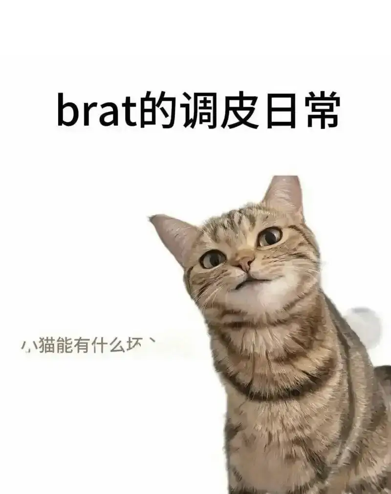 【西檬之家】字母圈的恋足癖指南