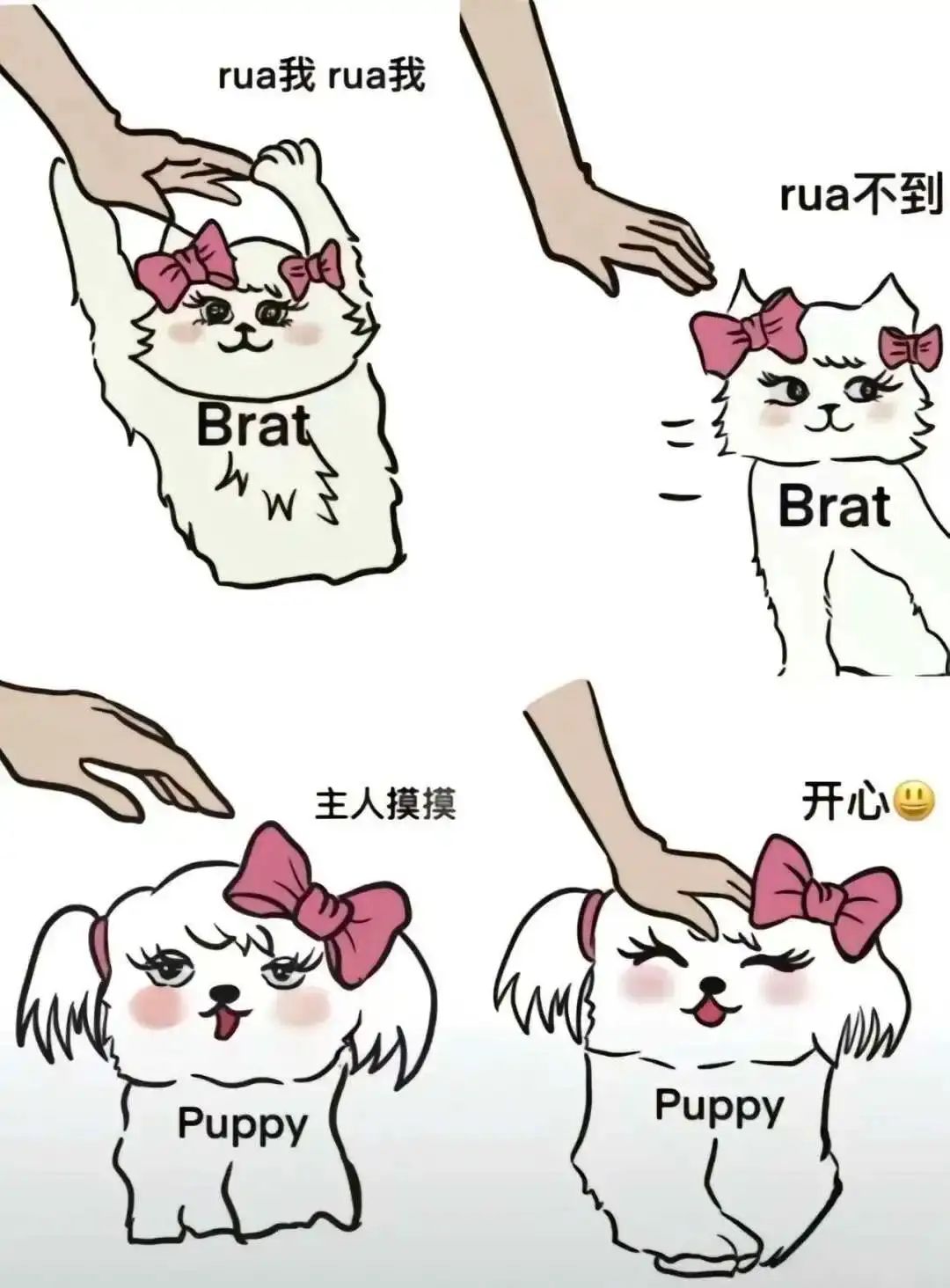 西檬之家-字母圈入门指南：从新人到老鸟的BDSM世界观构建
