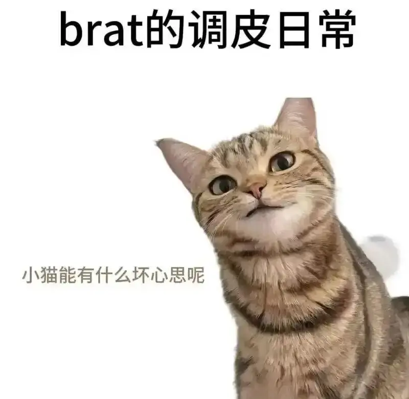 S倾向 - 微信图片_20251203212836_109_19