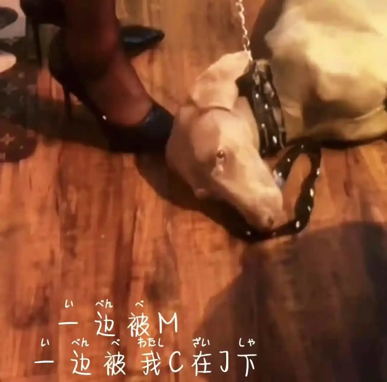 西檬之家-字母圈SP实践指南