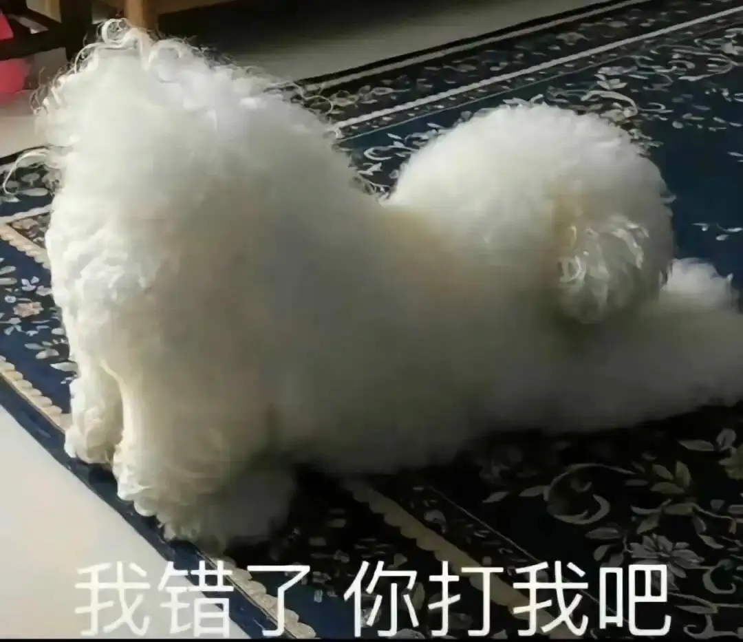 Ddlg是什么 - 2023_12_05_21_26_IMG_9543