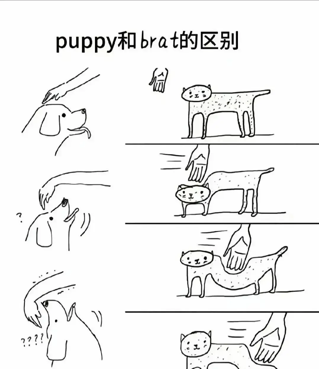 Dom - 微信图片_2025-11-13_180940_765